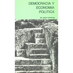 Democracia y economía política